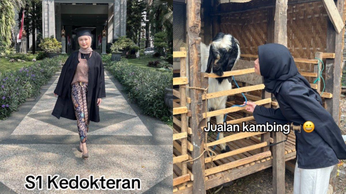 Mahasiswa lulusan kedokteran jadi penjual kambing setelah lulus kuliah.