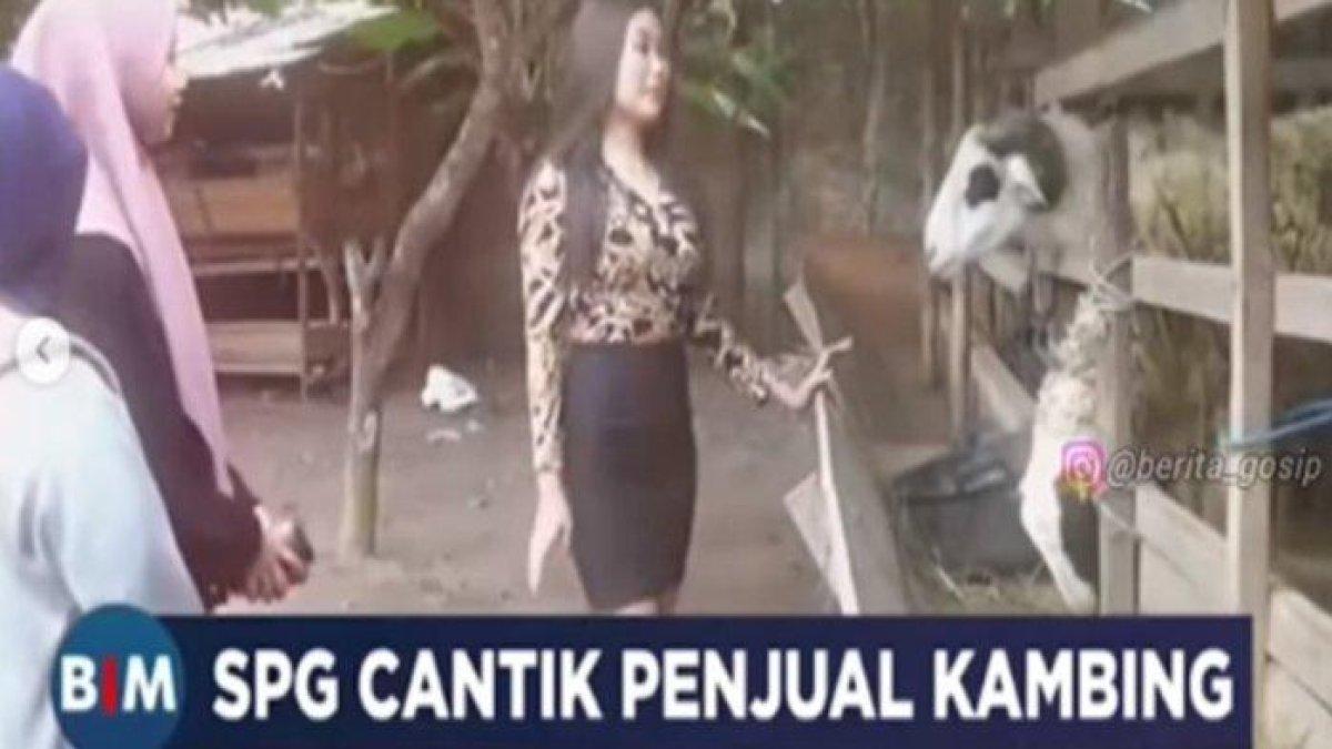 Momen SPG cantik jual kambing viral dimedia sosial.