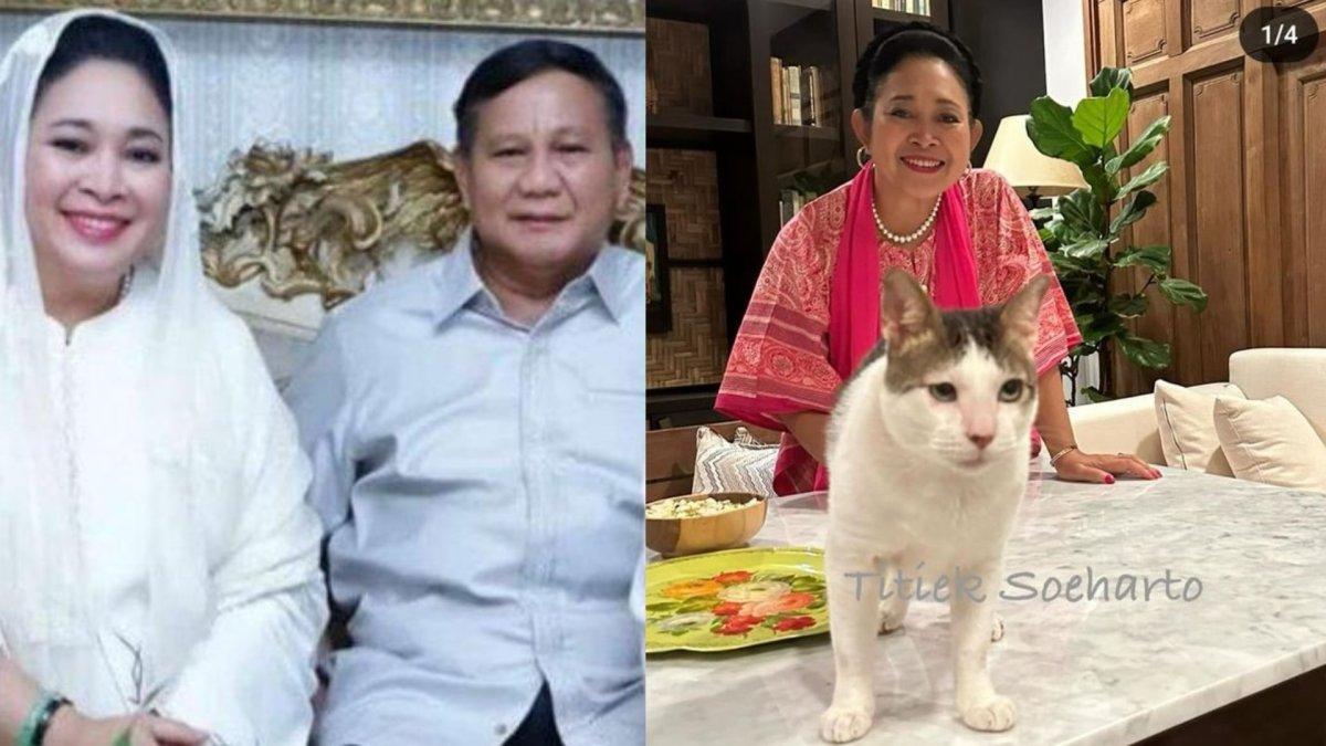 Titiek Soeharto bermain dengan kucing kesayangan Prabowo.