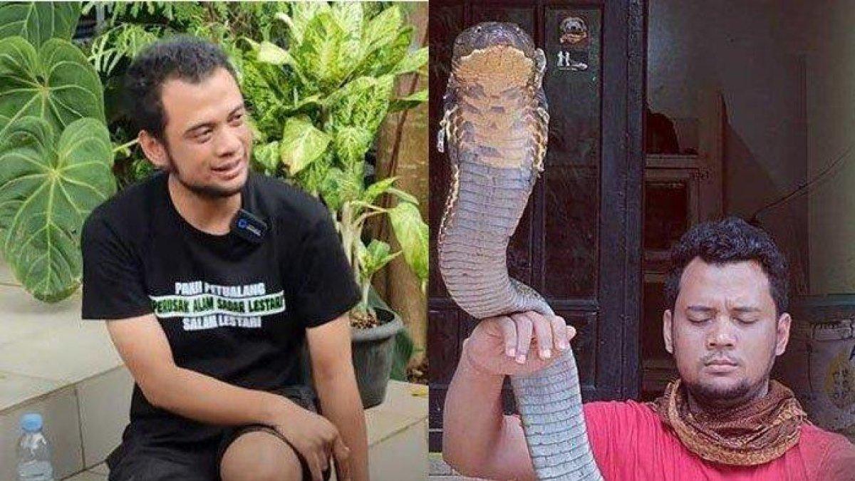 Nasib Panji Petualang setelah digigit ular King Cobra kini terlihat kurus dan kesehatannya terganggu