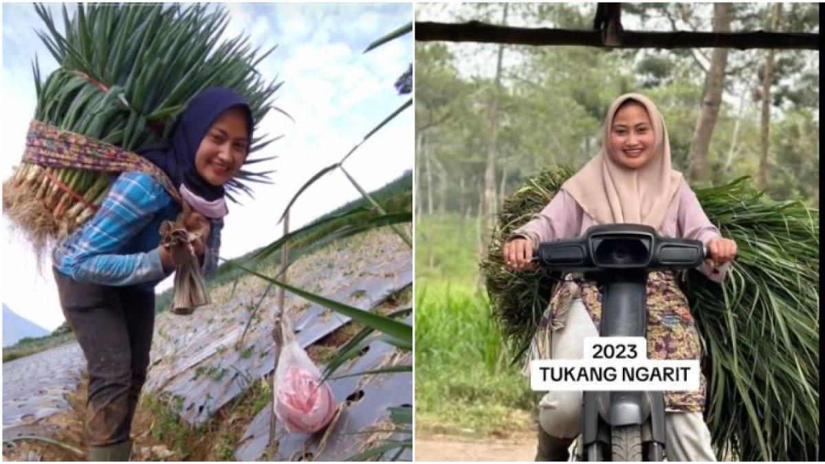 Novi Listy setelah banting stir jadi petani