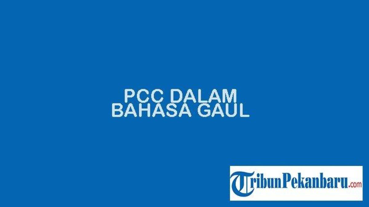 PCC Artinya dalam bahasa gaul
