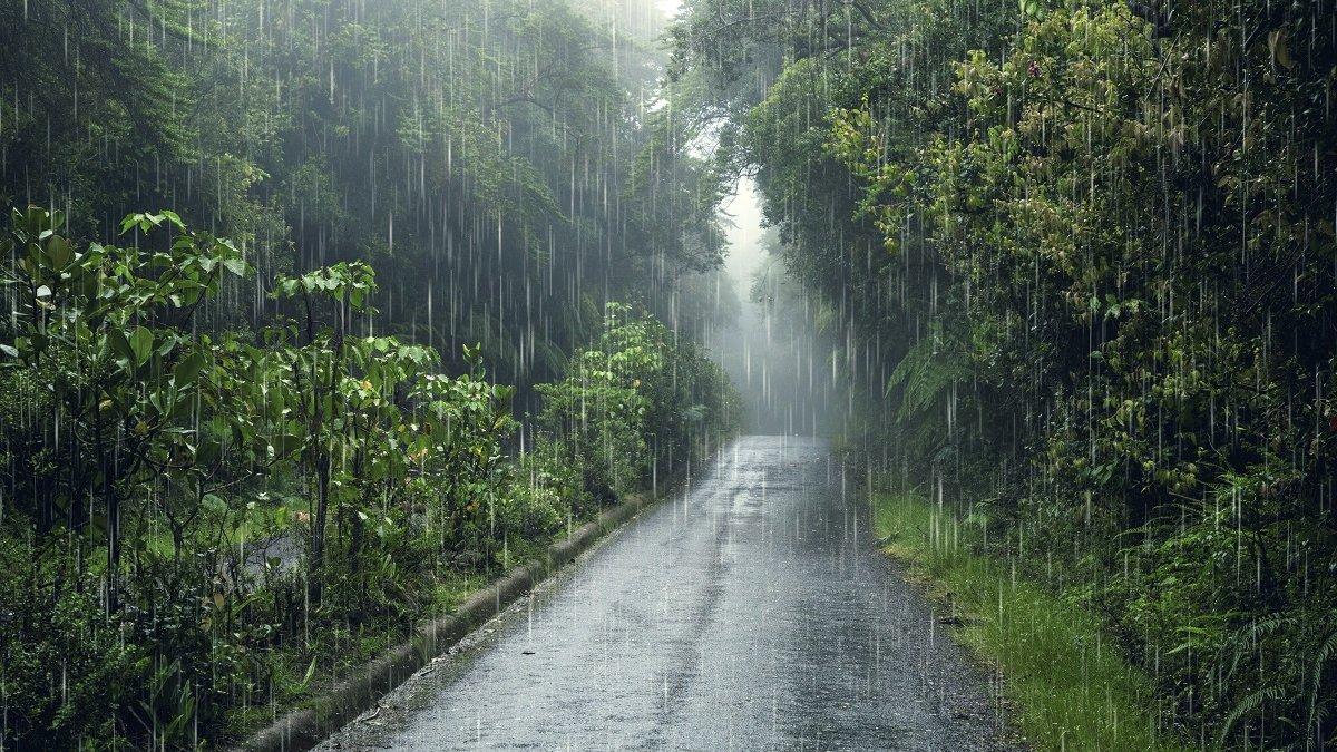 PRAKIRAAN CUACA BMKG - Ilustrasi hujan foto freepik/gratispik diunduh pada Senin (10/2/2025). Berikut prakiraan cuaca Indonesia Selasa (11/2/2025)