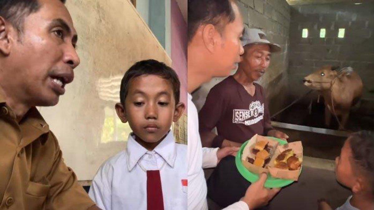 Pak Ribut ajak muridnya, Desril untuk buktikan sapi makan martabak