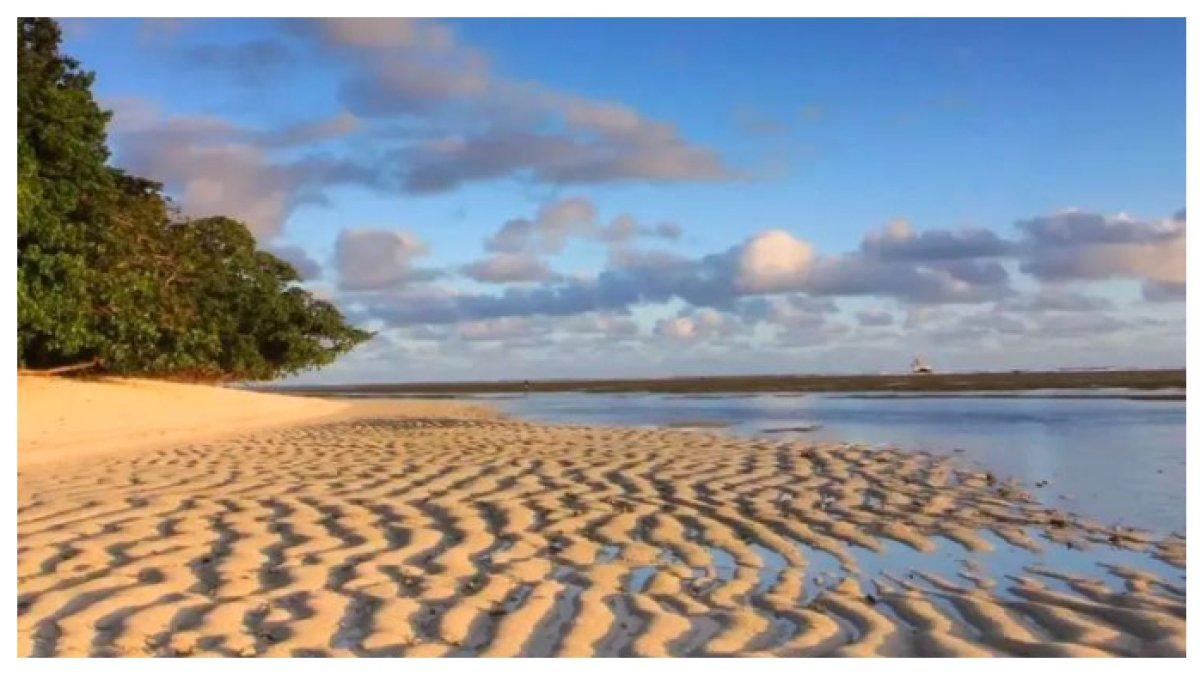 PANTAI SANCANG GARUT - Pantai ini memiliki tiga bagian utama: hutan dataran rendah, hutan mangrove, dan pasir putih. Cagar alamnya juga menjadi habitat berbagai flora dan fauna langka.