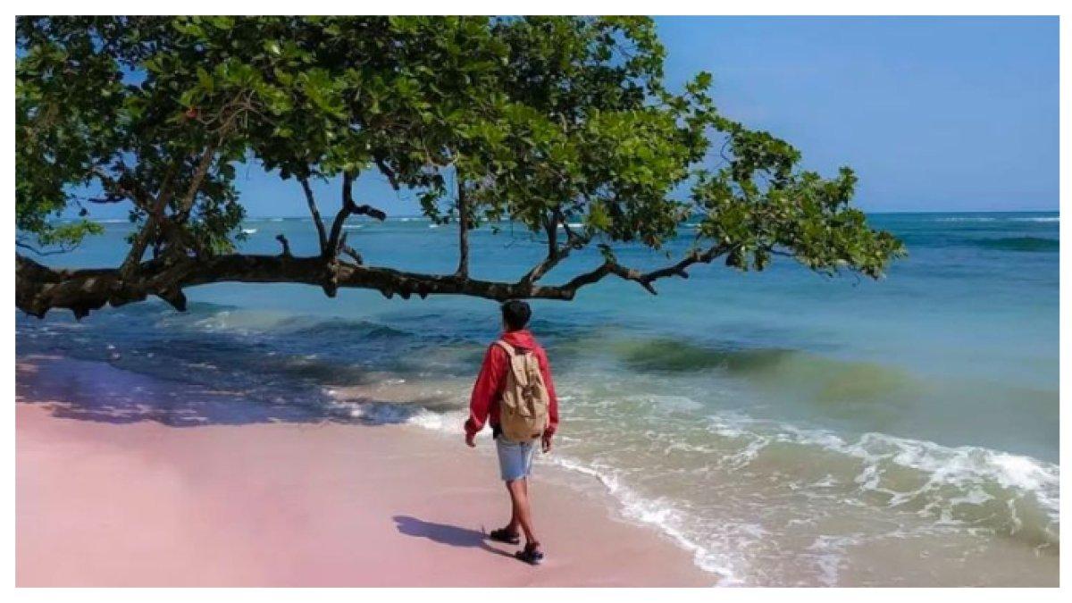 PANTAI KAWASAN CAGAR ALAM - Pantai ini berada di kawasan cagar alam dengan pasir bersih dan suasana asri, cocok untuk bersantai dan menikmati keindahan alam saat liburan Lebaran.