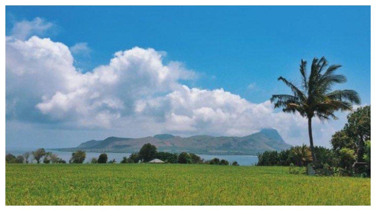 PANTAI PEMANDANGAN SAWAH - Pantai Koka di NTT menyuguhkan pasir putih, air laut jernih, dan lanskap persawahan hijau, cocok untuk bersantai saat liburan Lebaran 2025.