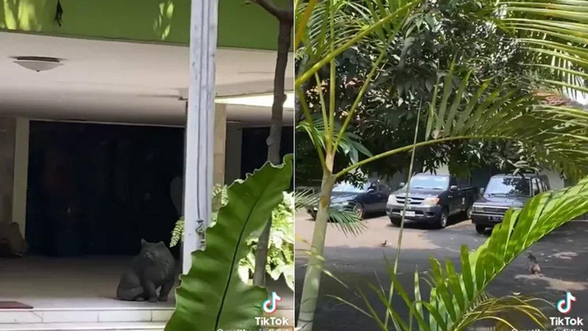 Patung peninggalan Soeharto dan beberapa mobil terparkir di rumah Cendana.