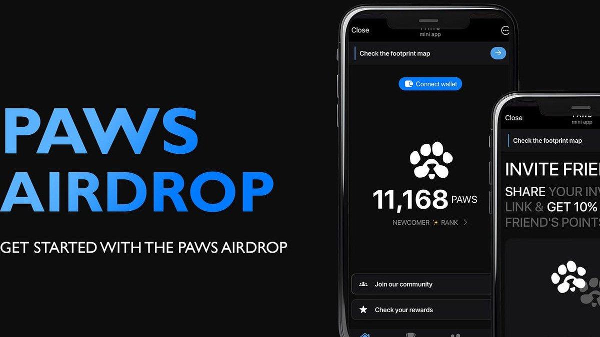 Paws Airdrop, mainkan sekarang.