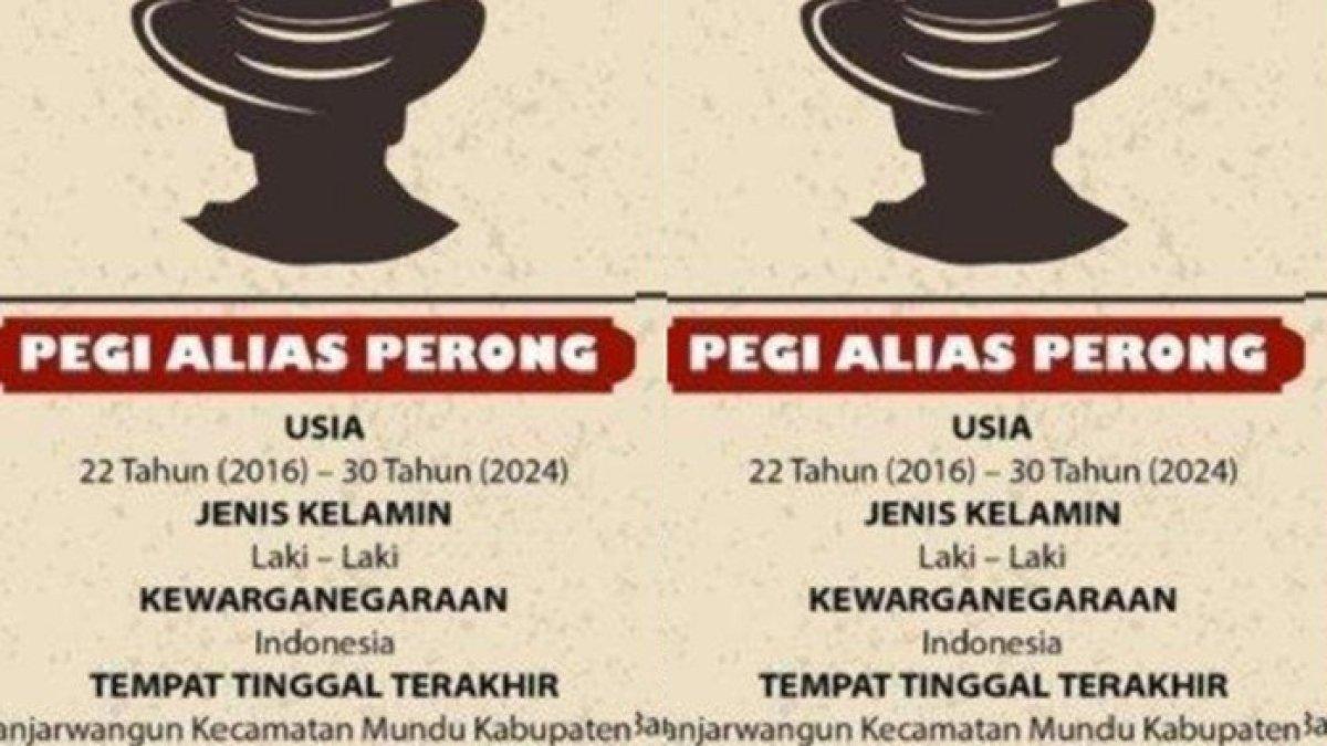 Pegi DPO kasus Vina Cirebon ditangkap