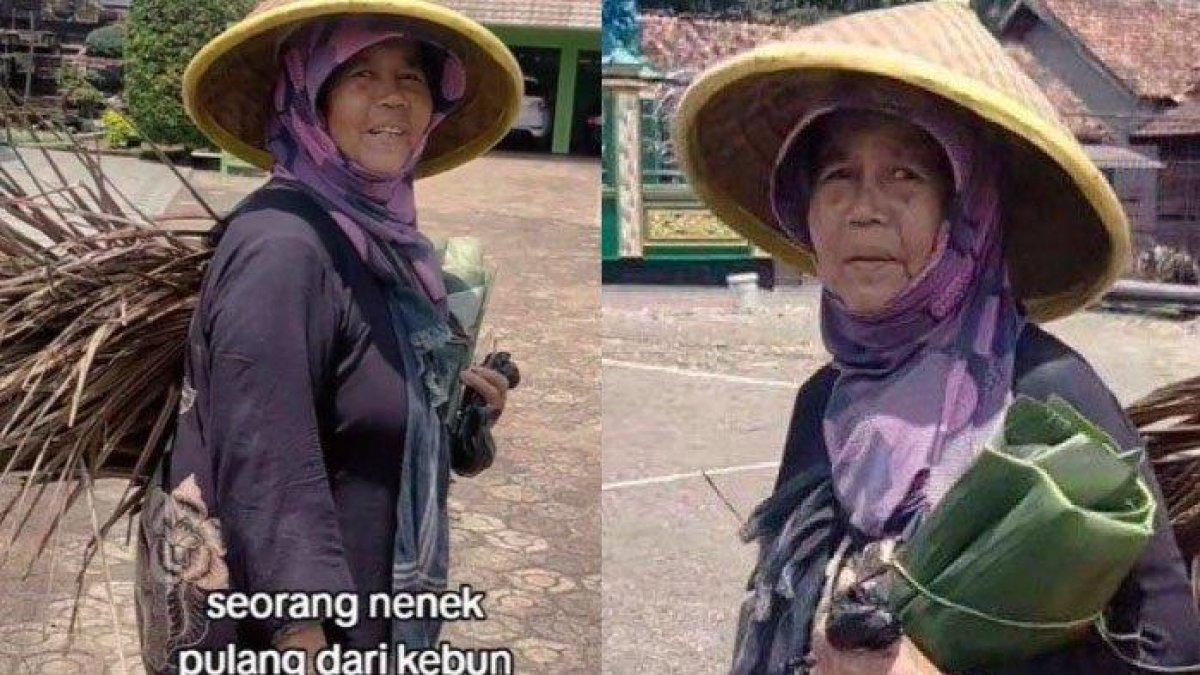 Pekerjaan Asli Nenek Penggendong Daun Kering yang Ternyata Kaya, Punya Fortuner hingga Honda Civic