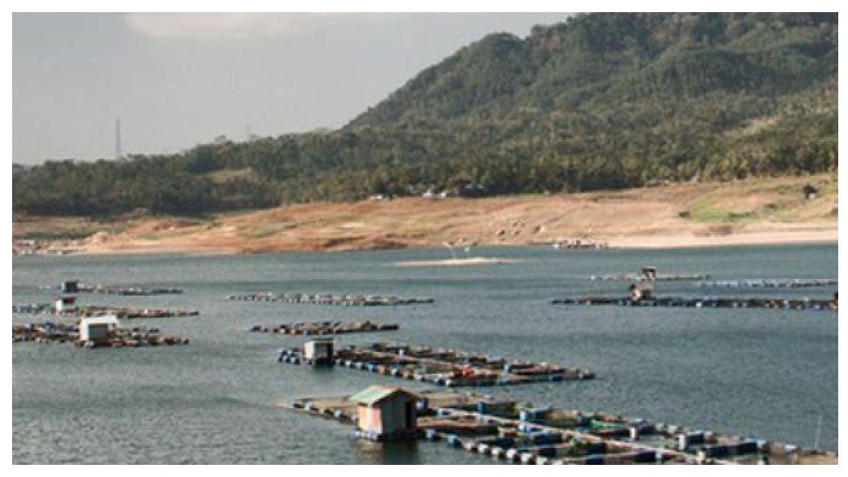 PEMANDANGAN WADUK WADASLINTANG - Waduk Wadaslintang, Wonosobo, Jawa Tengah Lihat Foto Waduk Wadaslintang, Wonosobo, Jawa Tengah.