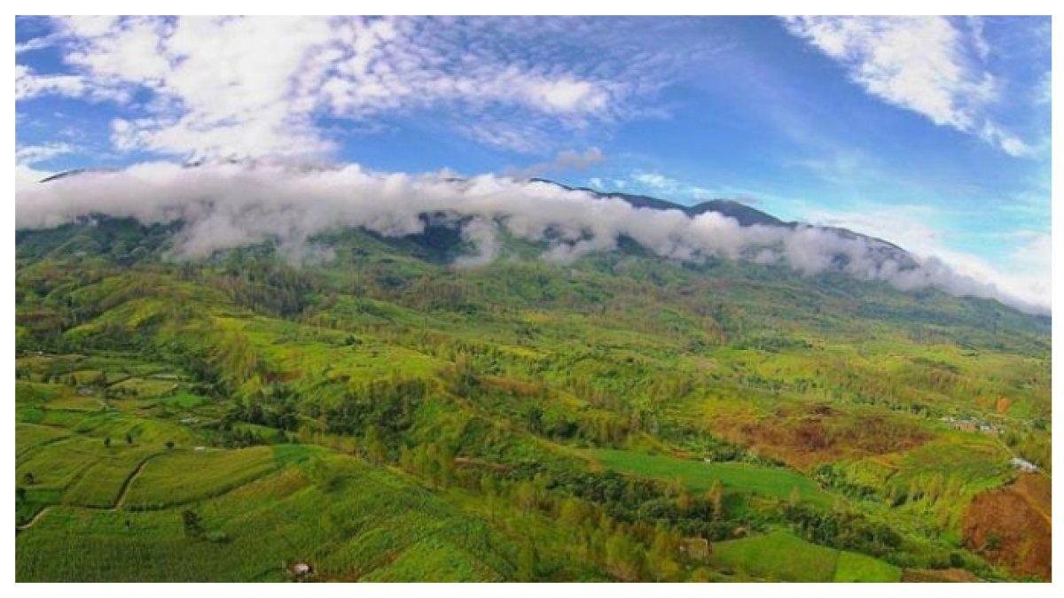 PEMANDANGAN