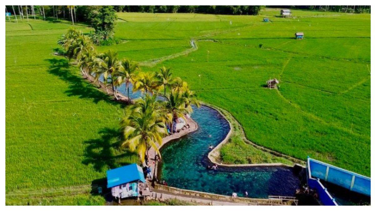 PEMANDANGAN KHAS PAPUA - Pemandangan khas Papua dengan pepohonan hijau dan perbukitan yang menyejukkan mata.