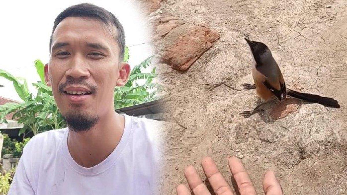 Pemilik burung cendet ditawar Rp 1,2 miliar menolak, mau dilepas jika artis ini yang beli