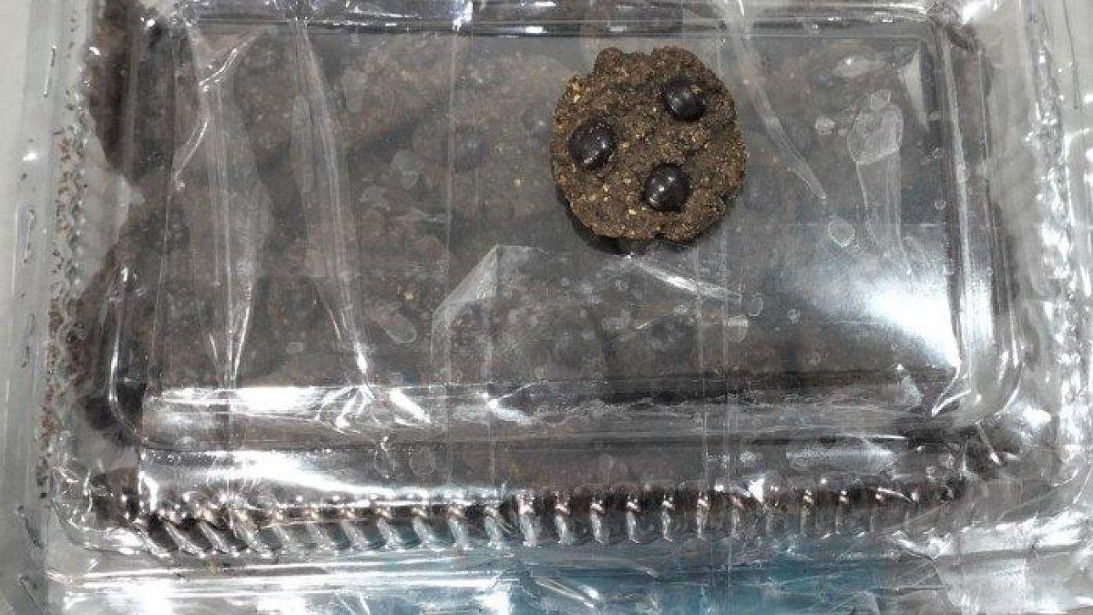 Penampakan cookies ganja disita BNNP Sulsel dari tangan dua mahasiswa Makassar.