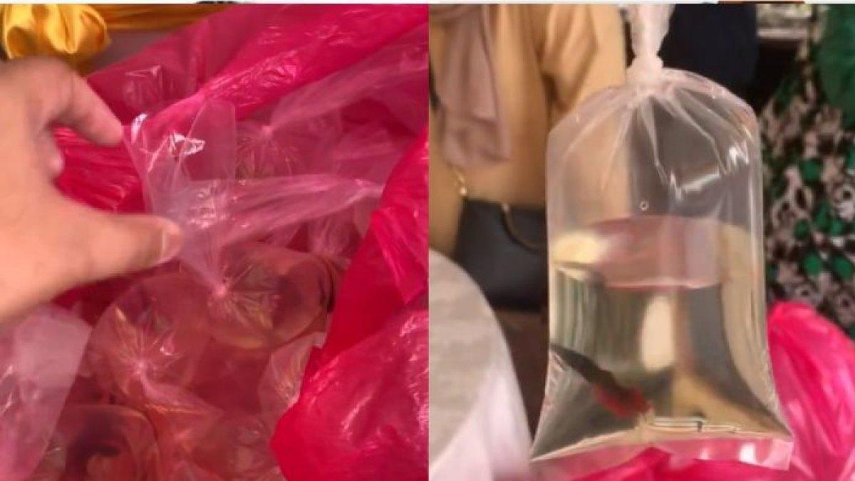 Pengantin Beri Souvenir Tamu Pernikahan Ikan Cupang, Tuai Kontroversi