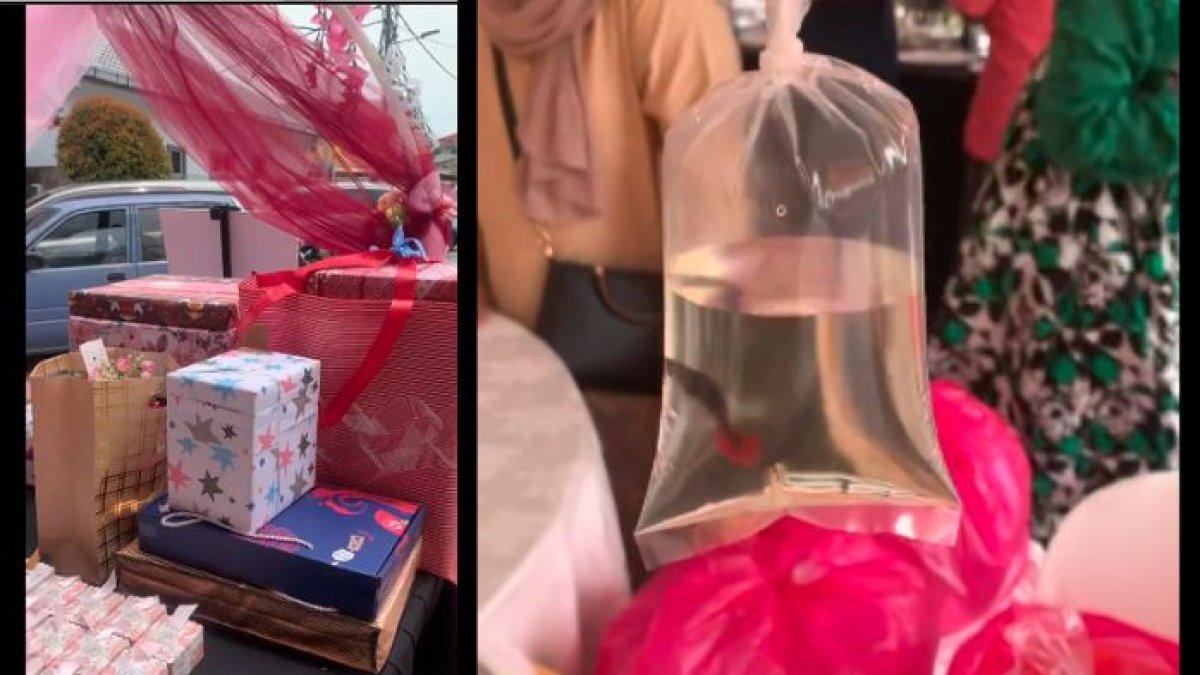 Pengantin Beri Souvenir Tamu Pernikahan Ikan Cupang, Tuai Kontroversi