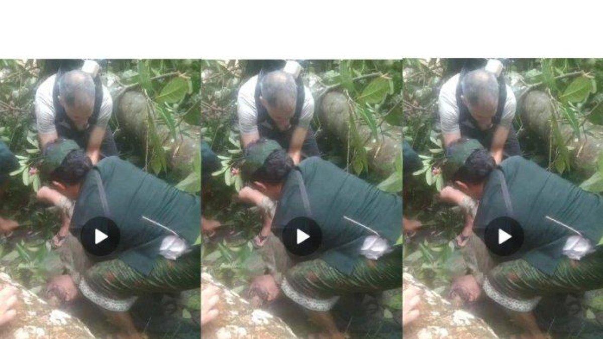 Peristiwa pohon tumbang di Monkey Forest Ubud, Bali, 2 turis asing tewas tertimpa.