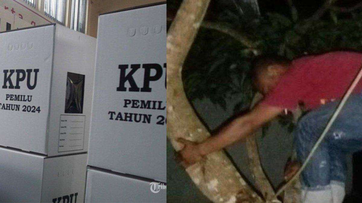 Petugas KPPS di Manggarai Barat panjat pohon cari sinyal