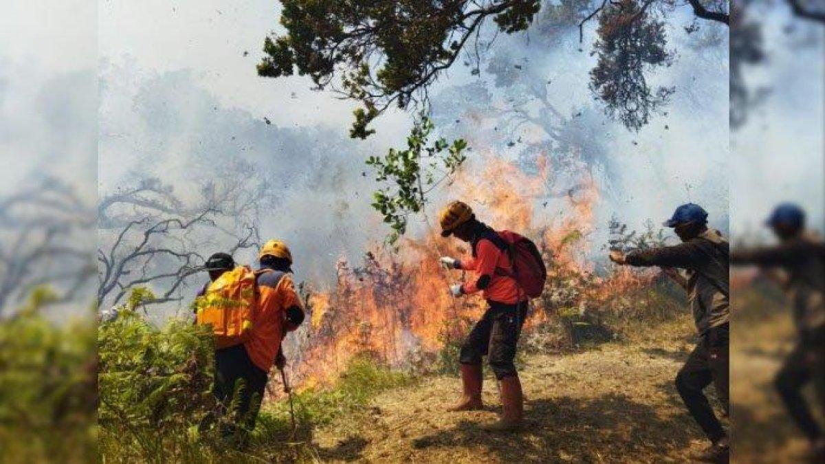Petugas saat berusaha memadamkan api di Kawasan Gunung Arjuno yang merembet ke sisi Kota Batu.