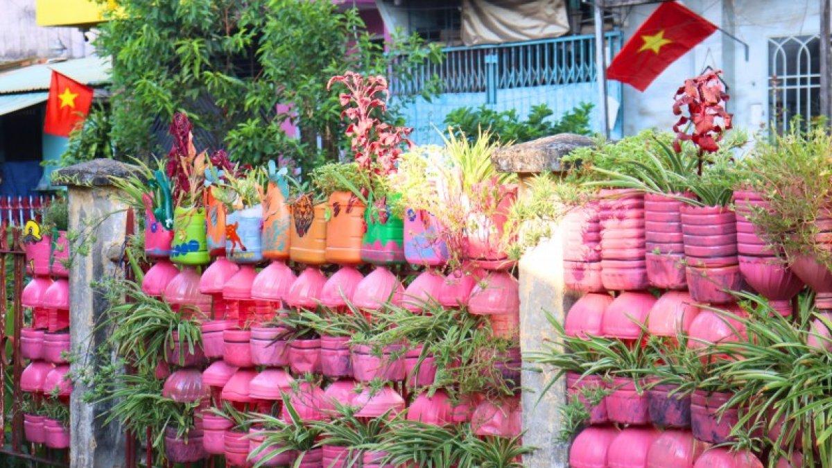 Pot tanaman serba pink berjejer. (Eva.vn)