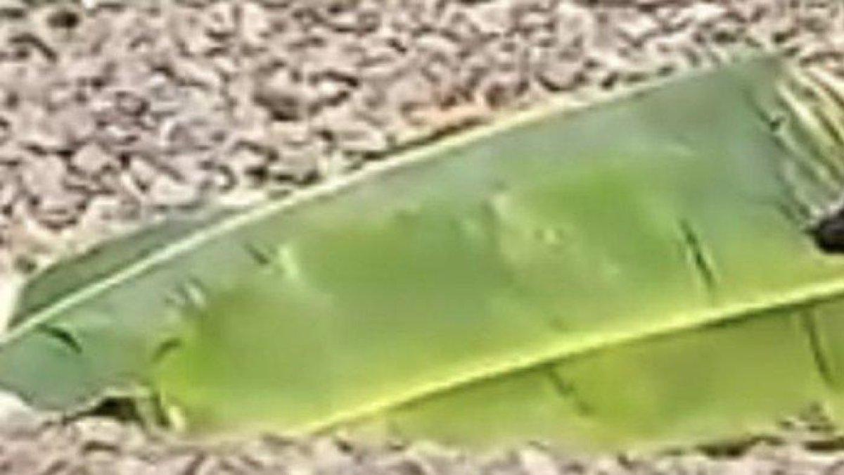 Potongan video menunjukan korban yang tertutupi selembar daun pisang.
