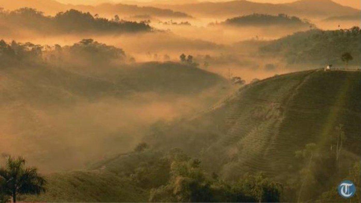 Potret Wisata Kebun Teh Cikuya, Lebak-Banten di momen sunrise atau pagi.