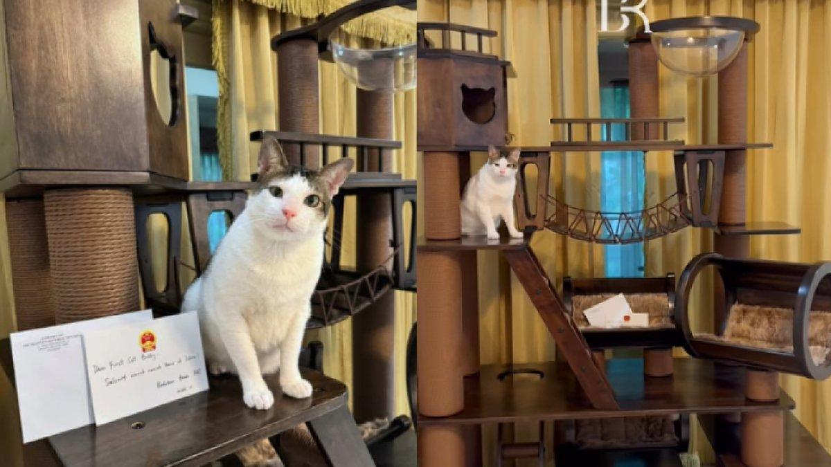 Potret rumah Bobby Kertanegara yang diberikan oleh Kedutaan China