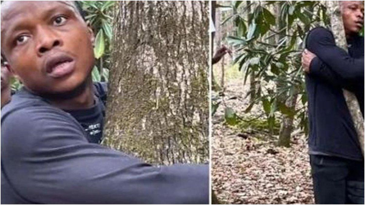Pria asal Ghana memecahkan rekor dunia untuk memeluk pohon terbanyak dalam satu jam ketika dia memeluk 1.123 pohon di Hutan Nasional Tuskegee.