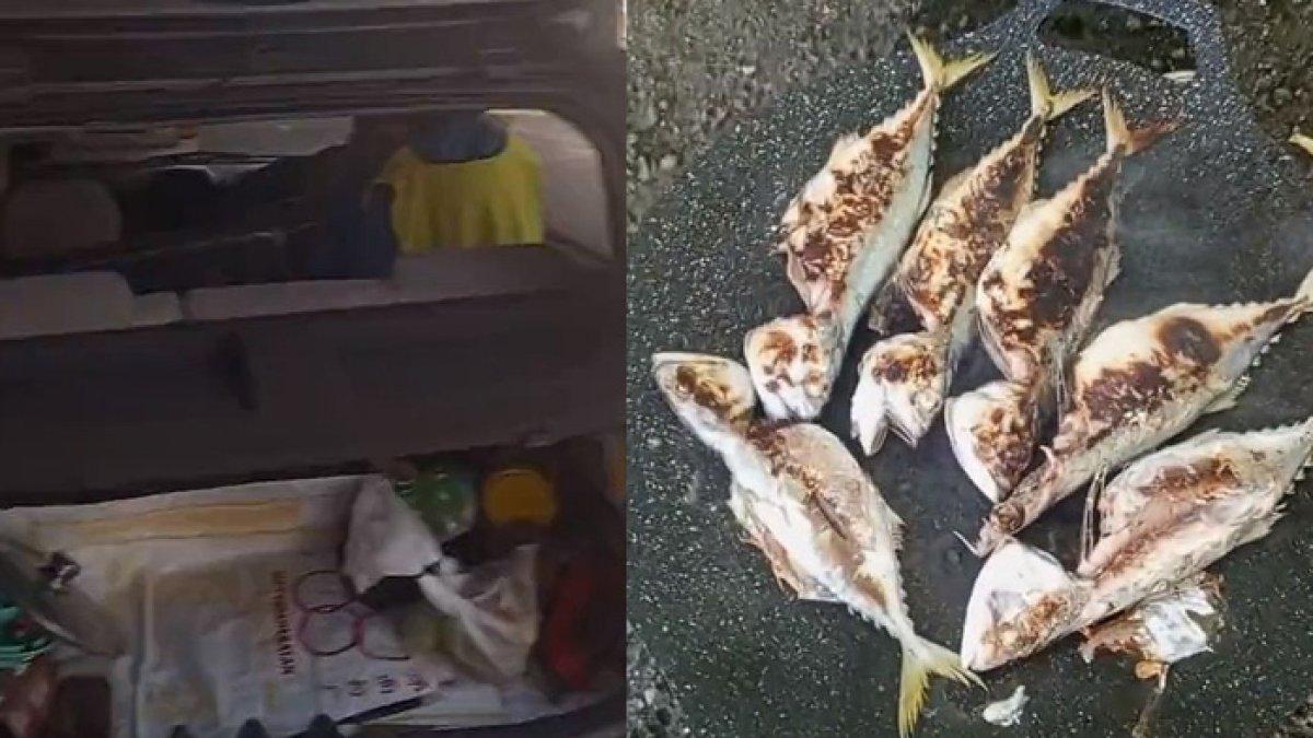 Pria hidup menggelandang, tinggal dan tidur di mobil