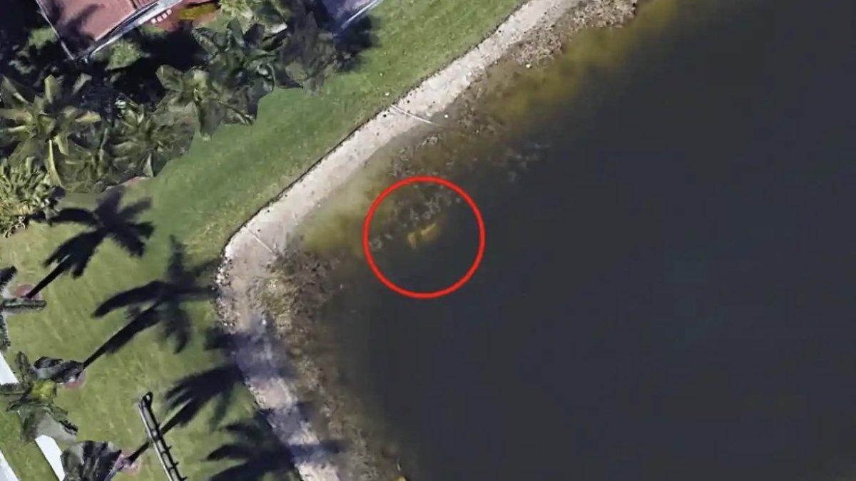 Pria ini 22 tahun hilang berhasil ditemukan berkat Google Earth.
