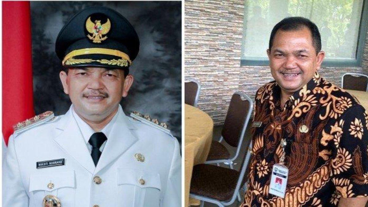 Profil dan rekam jejak dari Ngesti Nugraha, pemenang Pemilihan Kepala Daerah (Pilkada) Kabupaten Semarang 2024.