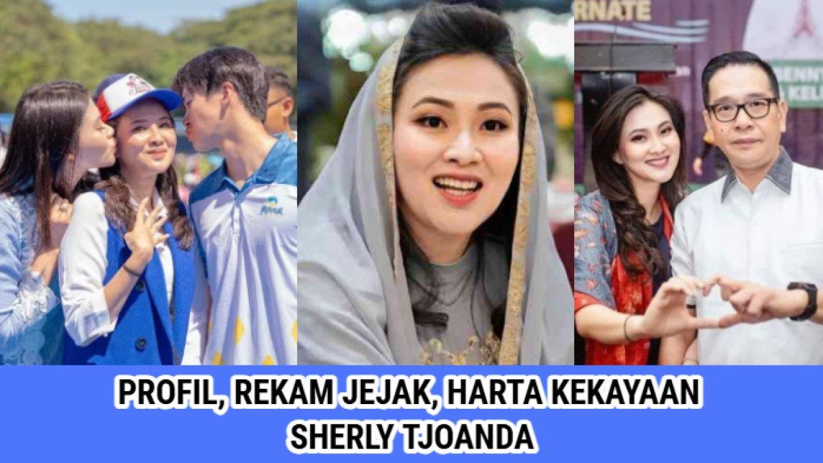 Profil, rekam jejak, harta dari Sherly Tjoanda, calon gubernur terpilih Maluku Utara di Pilkada 2024.