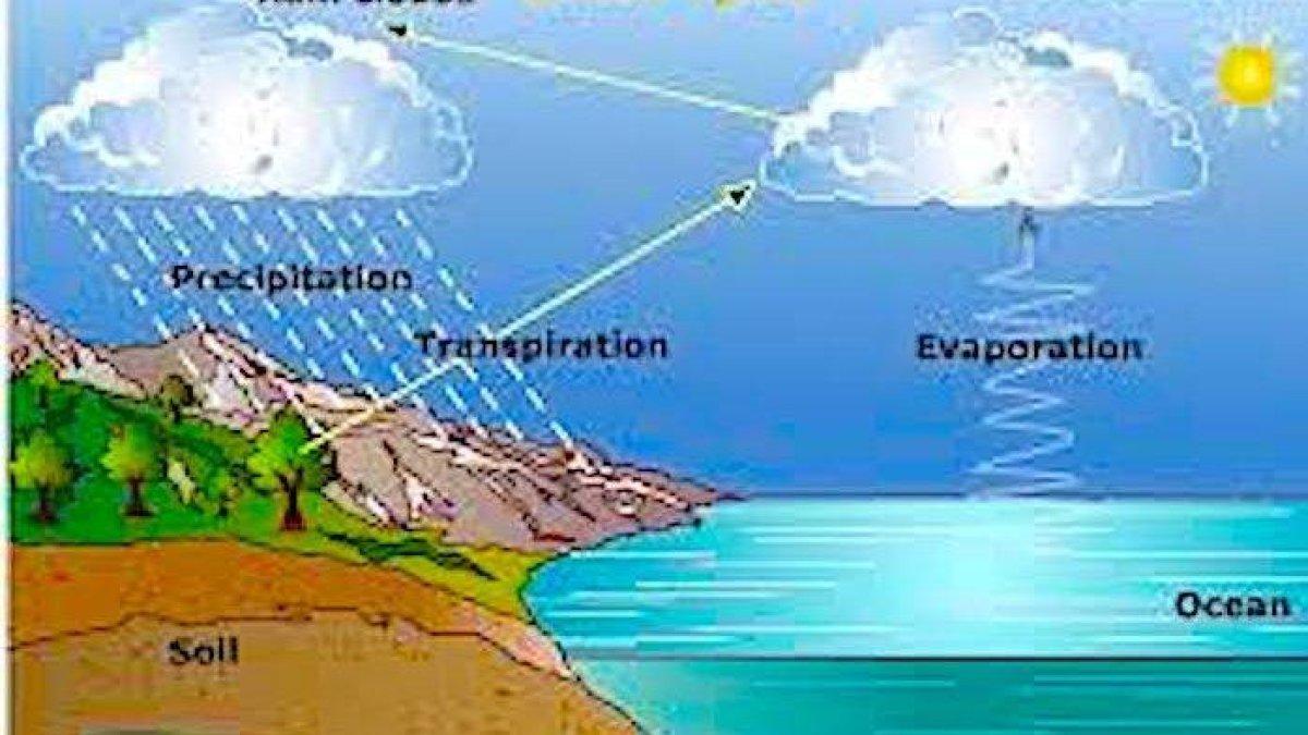 Simaklah kunci jawaban Program Belajar dari Rumah TVRI untuk SD kelas 4-6: Jelaskan manfaat siklus air bagi kehidupan di bumi!