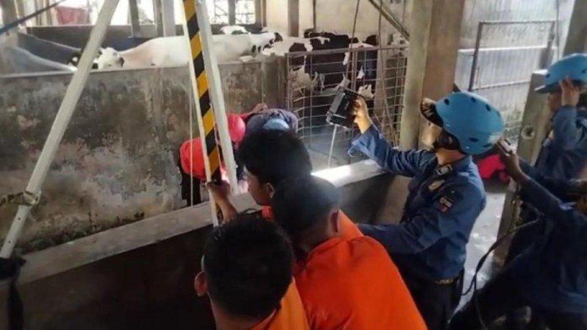 Proses evakuasi sapi berbobot 500 kilogram yang terperosok ke dalam sumur di Kelurahan Kebon Pedes, Kota Bogor.