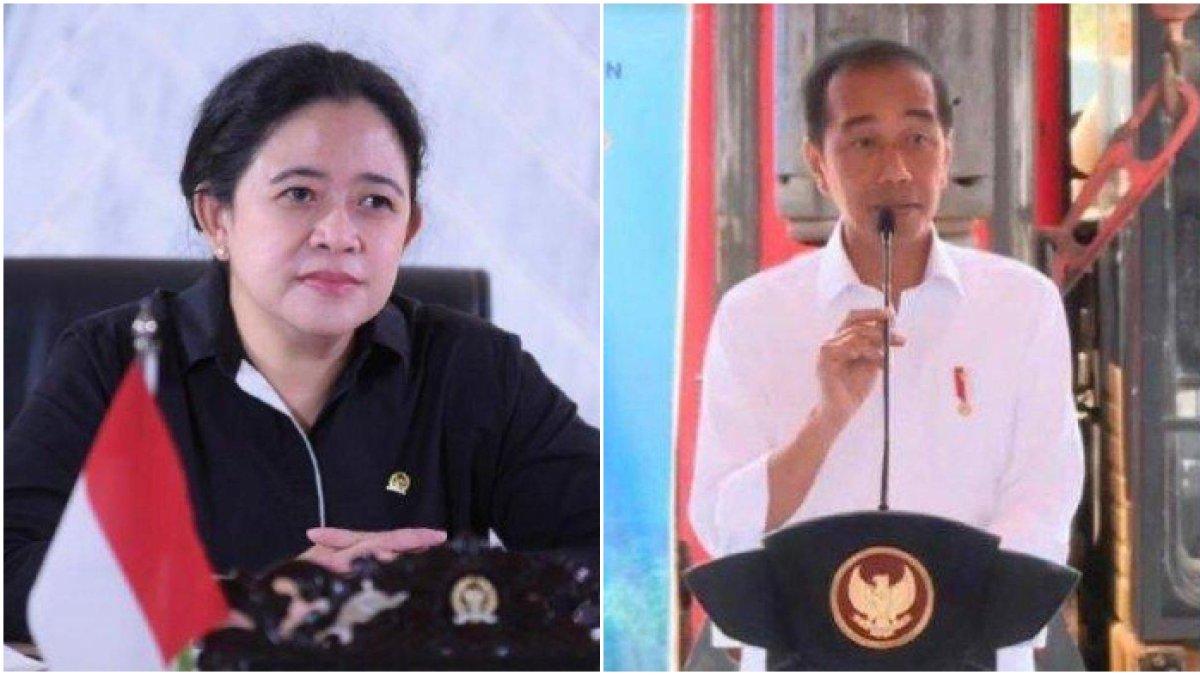 Puan Maharani jadwalkan akan bertemu dengan Presiden Jokowi