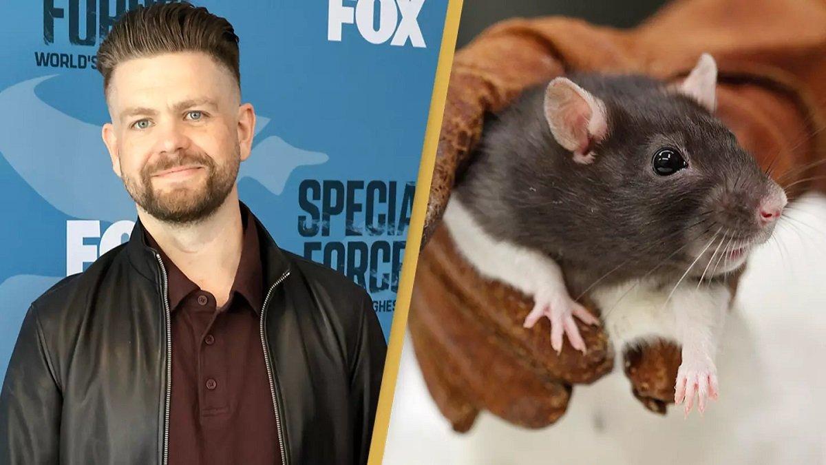 Putra penyanyi metal Ozzy Osbourne, Jack hampir mati gegara kena kencing tikus.