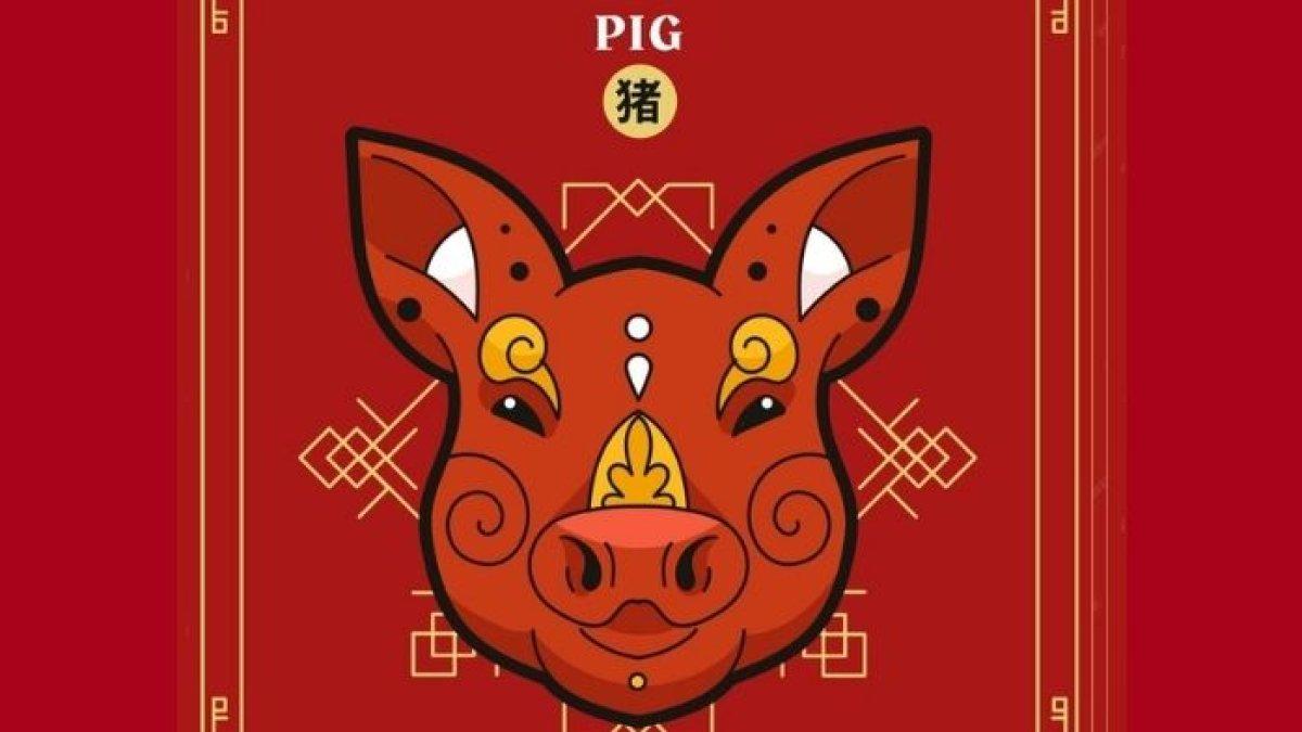 RAMALAN SHIO BESOK - Ilustrasi Shio Babi.