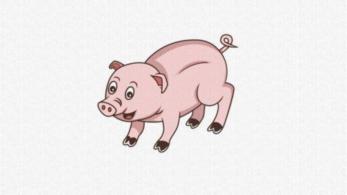 Ramalan Shio Babi