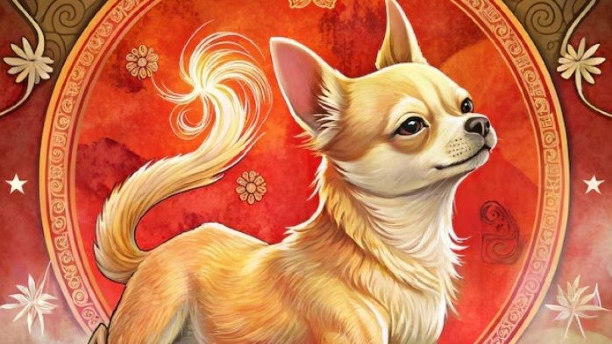 RAMALAN SHIO MINGGUAN - Ilustrasi ramalan shio Anjing. Berikut ramalan shio Anjing minggu ke-4 bulan maret 2025.