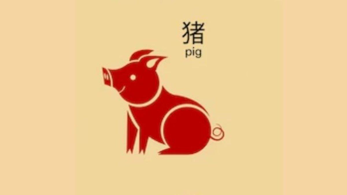 RAMALAN SHIO - Ilustrasi Shio Babi. Berikut ramalan shio Babi minggu ini 17-23 Maret 2025.