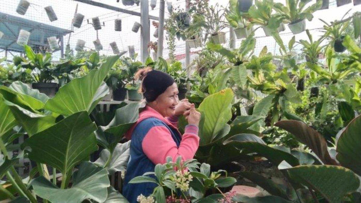 Ramla Wadja (60) wanita penjual bunga di Kota Gorontalo.