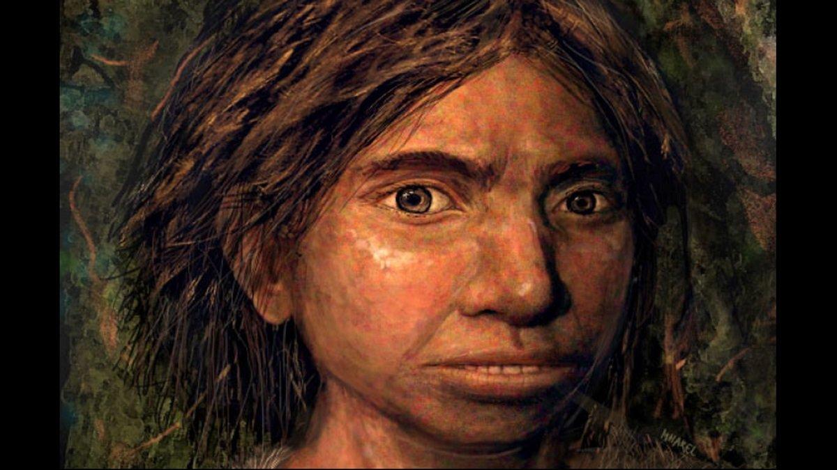 Rekonstruksi manusia purba Denisovan wanita berdasarkan profil kerangka. Studi menunjukkan DNA manusia Denisovan membentuk sistem kekebalan pada orang Papua.