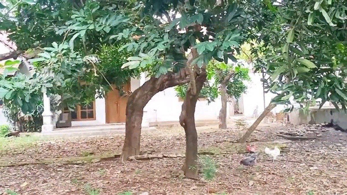 Rumah Abiem Ngesti jadi kandang ayam.