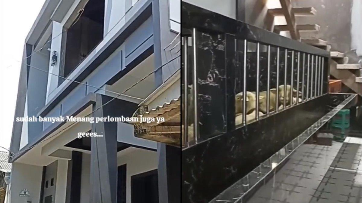 Rumah mewah ini viral, ternyata dijadikan kandang kambing