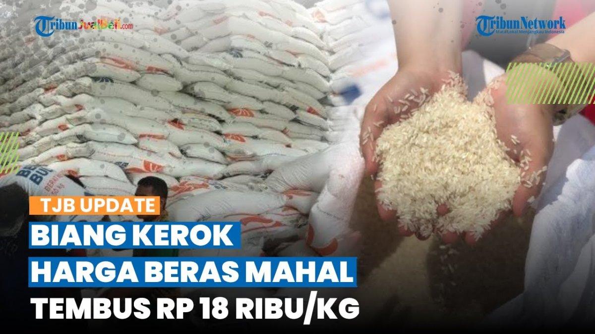 Ilustrasi harga beras terus naik.