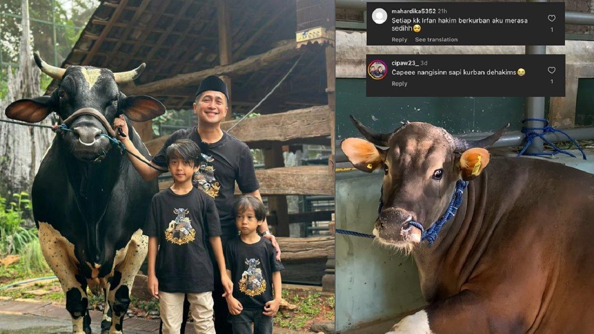 Sapi kurban milik Irfan Hakim
