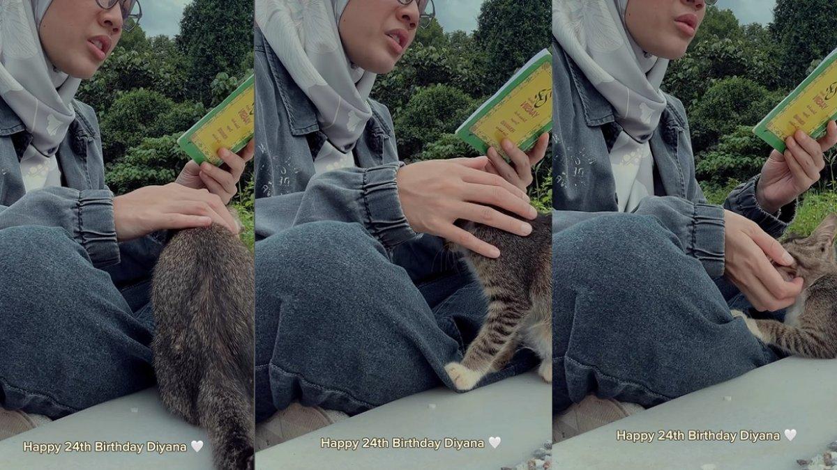 Seekor kucing turut menziarahi makam Ridzuan Hashim