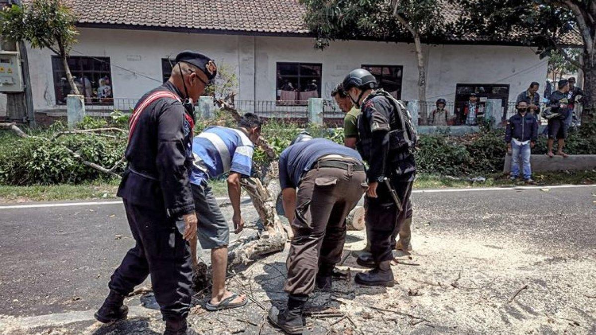 Sejumlah petugas mengevakuasi material pohon tumbang di Jalan Raya Tangkuban Parahu, Bandung Barat, Senin (16/10/2023).